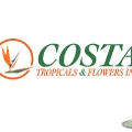 LOGO_COSTA
